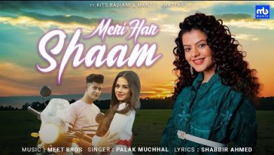 Meri Har Shaam Lyrics Meet Bros, Palak Muchhal - Wo Lyrics