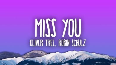 Miss You Lyrics Oliver Tree, Robin Schulz - Wo Lyrics.jpg