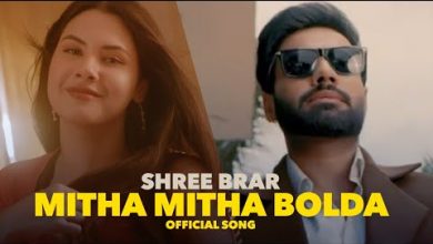 Mitha Mitha Bolda Lyrics Shree Brar - Wo Lyrics