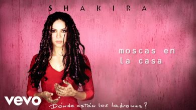 Moscas en la Casa Lyrics Shakira - Wo Lyrics