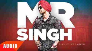 Mr Singh