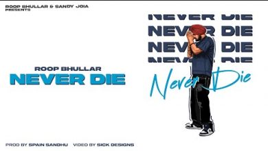 NEVER DIE Lyrics Roop Bhullar - Wo Lyrics
