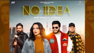 NO IDEA Lyrics Gunner, Meet Singh - Wo Lyrics