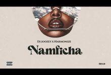 Namficha Lyrics Harmonize - Wo Lyrics
