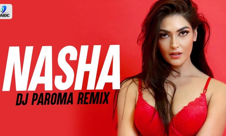 Nasha (Remix) Lyrics DJ Paroma - Wo Lyrics.jpg