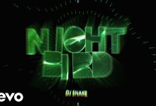 Nightbird Lyrics DJ SNAKE - Wo Lyrics.jpg