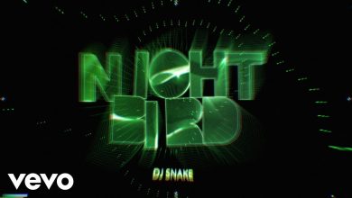 Nightbird Lyrics DJ SNAKE - Wo Lyrics.jpg