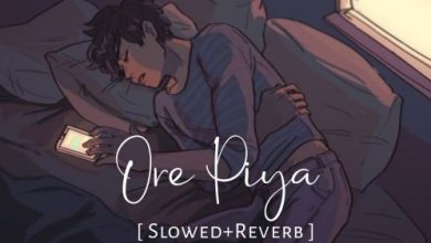 O Re Piya (Slowed + Reverb)