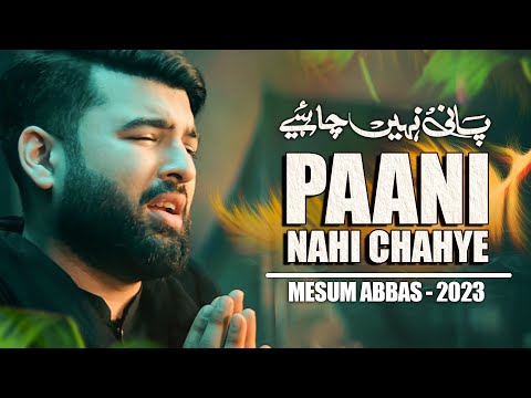 PAANI NAHI CHAHIYE Noha Lyrics Mesum Abbas - Wo Lyrics
