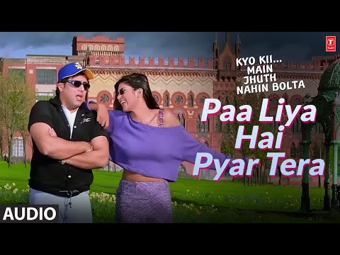 Paa Liya Hain Pyar Tera Lyrics Alka Yagnik, Udit Narayan - Wo Lyrics