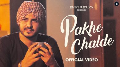 Pakhe Challde Lyrics Jass Bajwa - Wo Lyrics