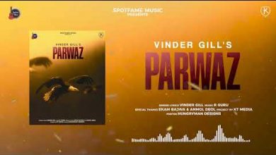 Parwaz Lyrics Vinder Gill - Wo Lyrics