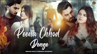 Peena Chhod Denge Lyrics Shobi Sarwan - Wo Lyrics