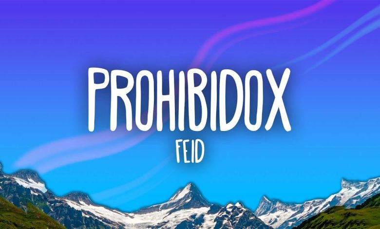 Prohibidox Lyrics Feid - Wo Lyrics.jpg