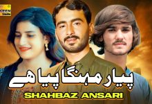 Pyar Mahanga Piya Ay Lyrics Shahbaz Ansari - Wo Lyrics
