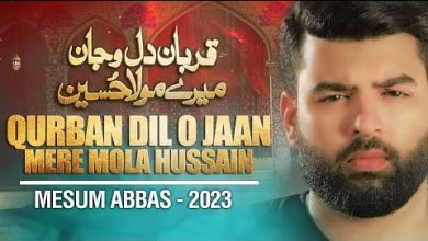 QURBAN DIL O JAAN MERE MOLA HUSSAIN Noha Lyrics Mesum Abbas - Wo Lyrics