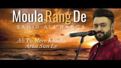 Rang de Moula Lyrics Sahir Ali Bagga - Wo Lyrics
