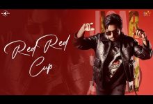 Red Red Cup Lyrics Jigar - Wo Lyrics