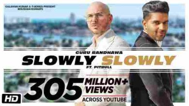 SLOWLY SLOWLY Full Song Lyrics  By Guru Randhawa, Pitbull