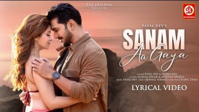 Sanam Aa Gaya Lyrics Payal Dev, Stebin Ben - Wo Lyrics