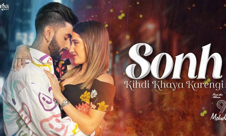 Sonh Kihdi Khaya Karengi Lyrics Akki Singh - Wo Lyrics