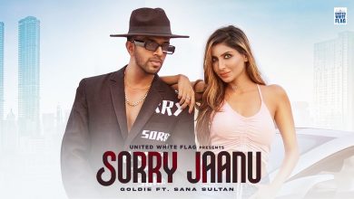 Sorry Jaanu Lyrics Goldie - Wo Lyrics.jpg