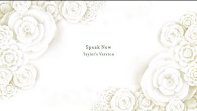 Speak Now Lyrics Taylor Swift - Wo Lyrics