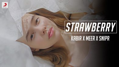 Strawberry Lyrics Kabir - Wo Lyrics.jpg