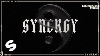 Synergy Lyrics DVBBS, Timmy Trumpet - Wo Lyrics