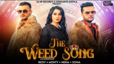 THE WEED SONG Lyrics Ricky Singh - Wo Lyrics