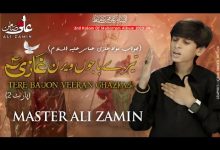 Tere Bajon Veeran Ghazi as Part-2 Noha Lyrics Ali Zamin - Wo Lyrics