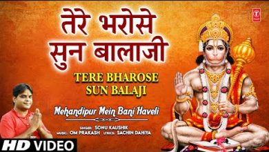 Tere Bharose Sun Balaji Lyrics Sonu Kaushik - Wo Lyrics