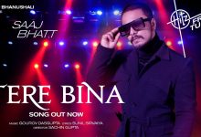 Tere Bina Lyrics Saaj Bhatt - Wo Lyrics.jpg