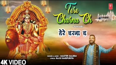 Tere Charna Ch Lyrics Master Saleem - Wo Lyrics