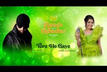 Tere Ho Gaye Lyrics Nishtha Sharma - Wo Lyrics