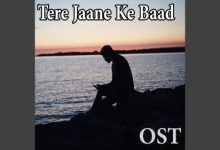 Tere Jaane Ke Baad OST