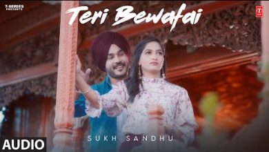 Teri Bewafai Lyrics Sukh Sandhu - Wo Lyrics