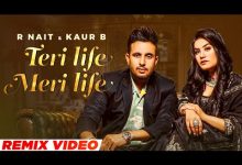 Teri Life Meri Life Lyrics Kaur B, R Nait - Wo Lyrics