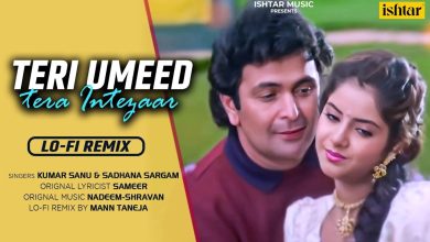 Teri Umeed Tera Intezar LOFI Remix Lyrics Kumar Sanu, Sadhna Sargam - Wo Lyrics