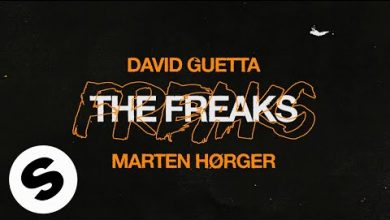 The Freaks Lyrics David Guetta, Marten Hørger - Wo Lyrics