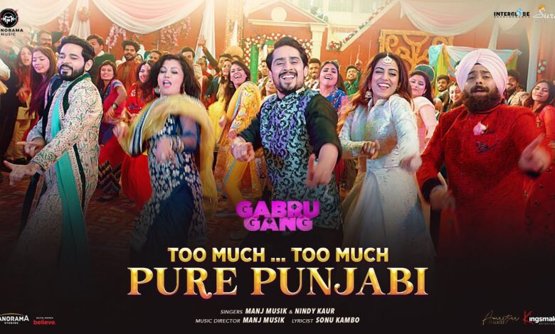 Too Much Too Much Pure Punjabi