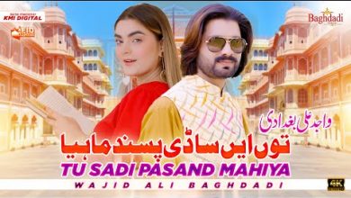 Tu Ay Sadi Pasand Mahiya Lyrics Wajid Ali Baghdadi - Wo Lyrics