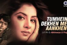 Tumhein Dekhen Meri Aankhen (Lofi Mix) Lyrics Alka Yagnik, Kumar Sanu, P. Sunanda - Wo Lyrics