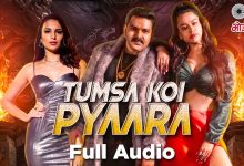 Tumsa Koi Pyaara Lyrics Pawan Singh, Priyanka Singh - Wo Lyrics