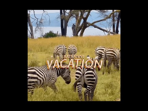 Vacation Lyrics RayVanny - Wo Lyrics