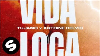 Vida Loca Lyrics Antoine Delvig, Tujamo - Wo Lyrics