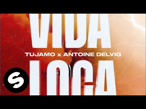 Vida Loca Lyrics Antoine Delvig, Tujamo - Wo Lyrics
