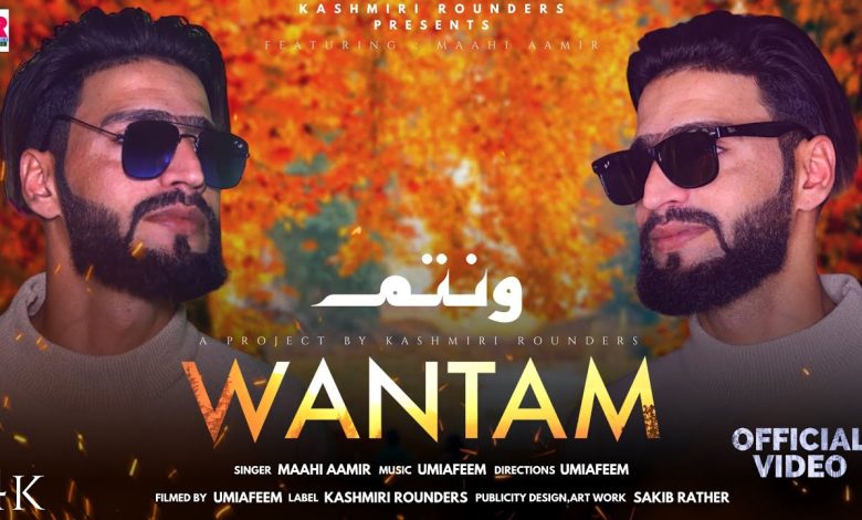 Wantam Lyrics Maahi Aamir - Wo Lyrics.jpg
