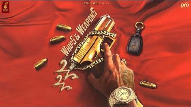 Whips & Weapons Lyrics Kash Ladhar - Wo Lyrics