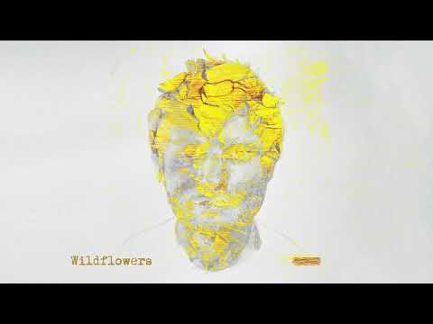 Wildflowers Lyrics Ed Sheeran - Wo Lyrics